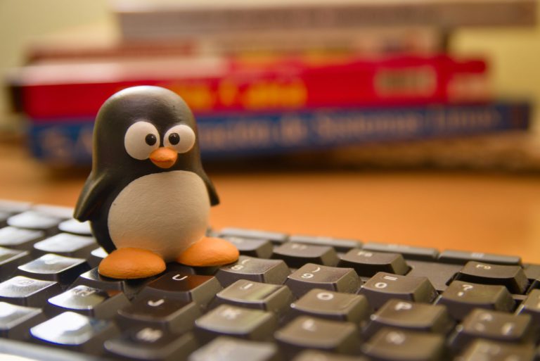 Linux slaví 35 let: ze skromného koníčku se stal pilíř světového IT